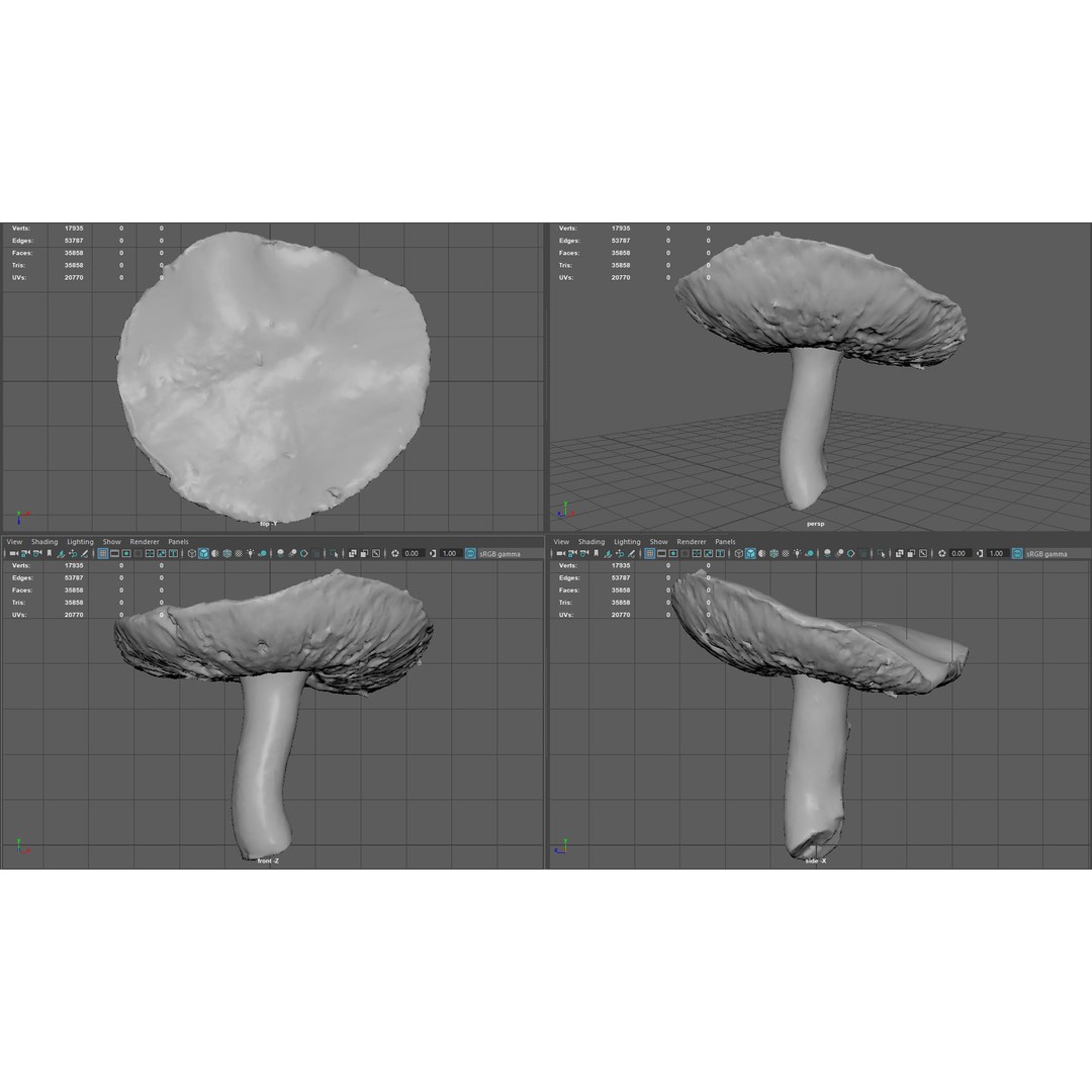 Mushroom 3D Model – Low Poly Nature Asset, PBR Textures, FBX - View 18