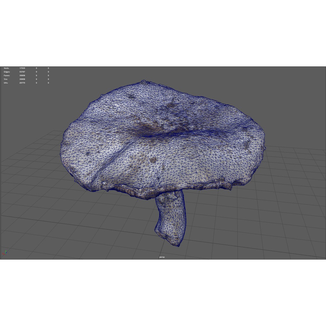 Mushroom 3D Model – Low Poly Nature Asset, PBR Textures, FBX - View 20