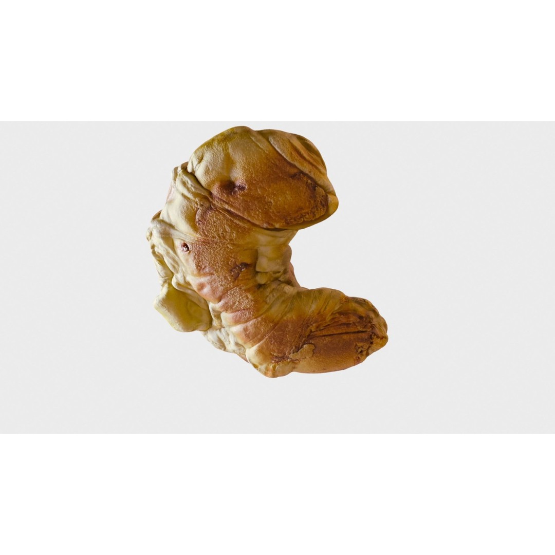 Delicious Croissant 3D Model – Realistic PBR Bakery Asset, FBX - View 9