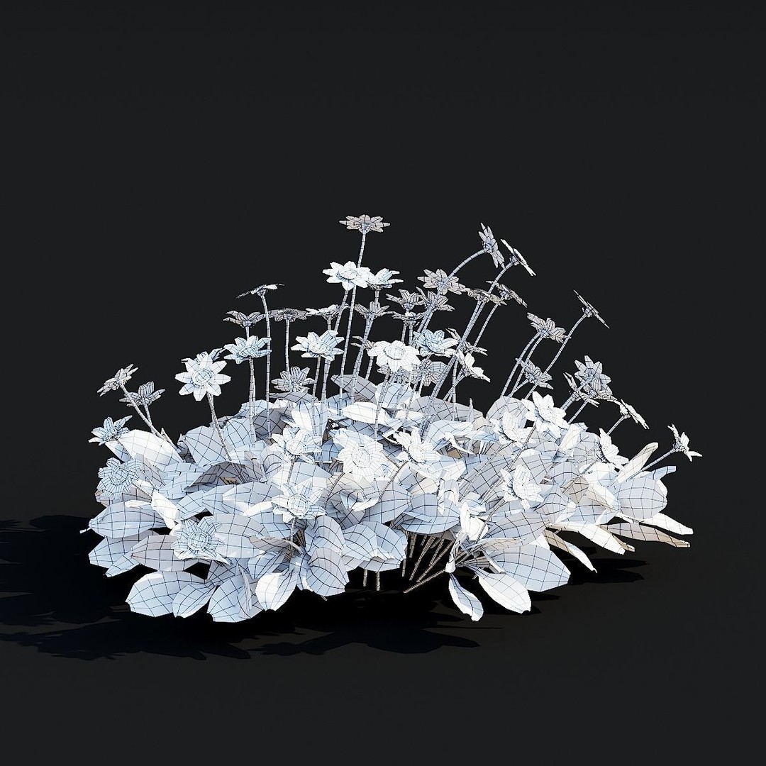 Coreopsis Auriculata Nana 3D Model – High Poly Flower Asset, FBX & OBJ - View 11