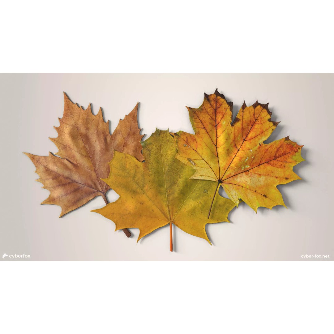Autumn Maple Leaves 3D Model – Low Poly PBR Game Asset, FBX, OBJ - View 2