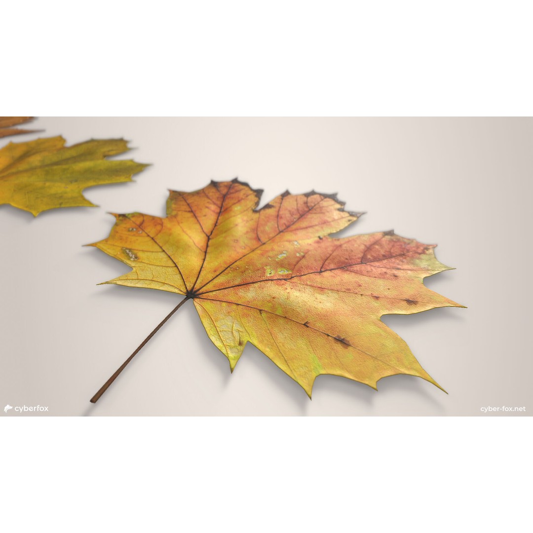 Autumn Maple Leaves 3D Model – Low Poly PBR Game Asset, FBX, OBJ - View 6