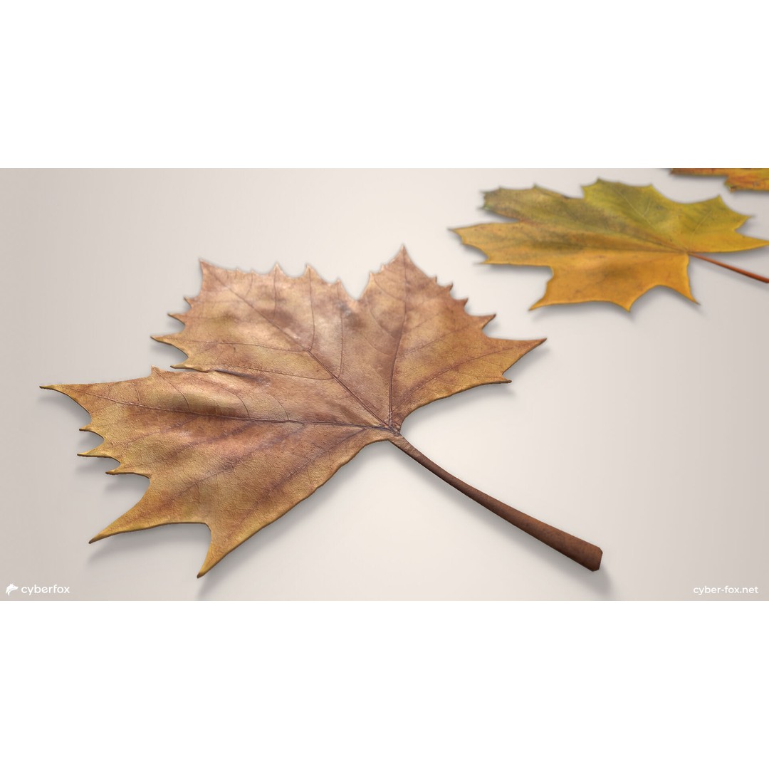 Autumn Maple Leaves 3D Model – Low Poly PBR Game Asset, FBX, OBJ - View 9