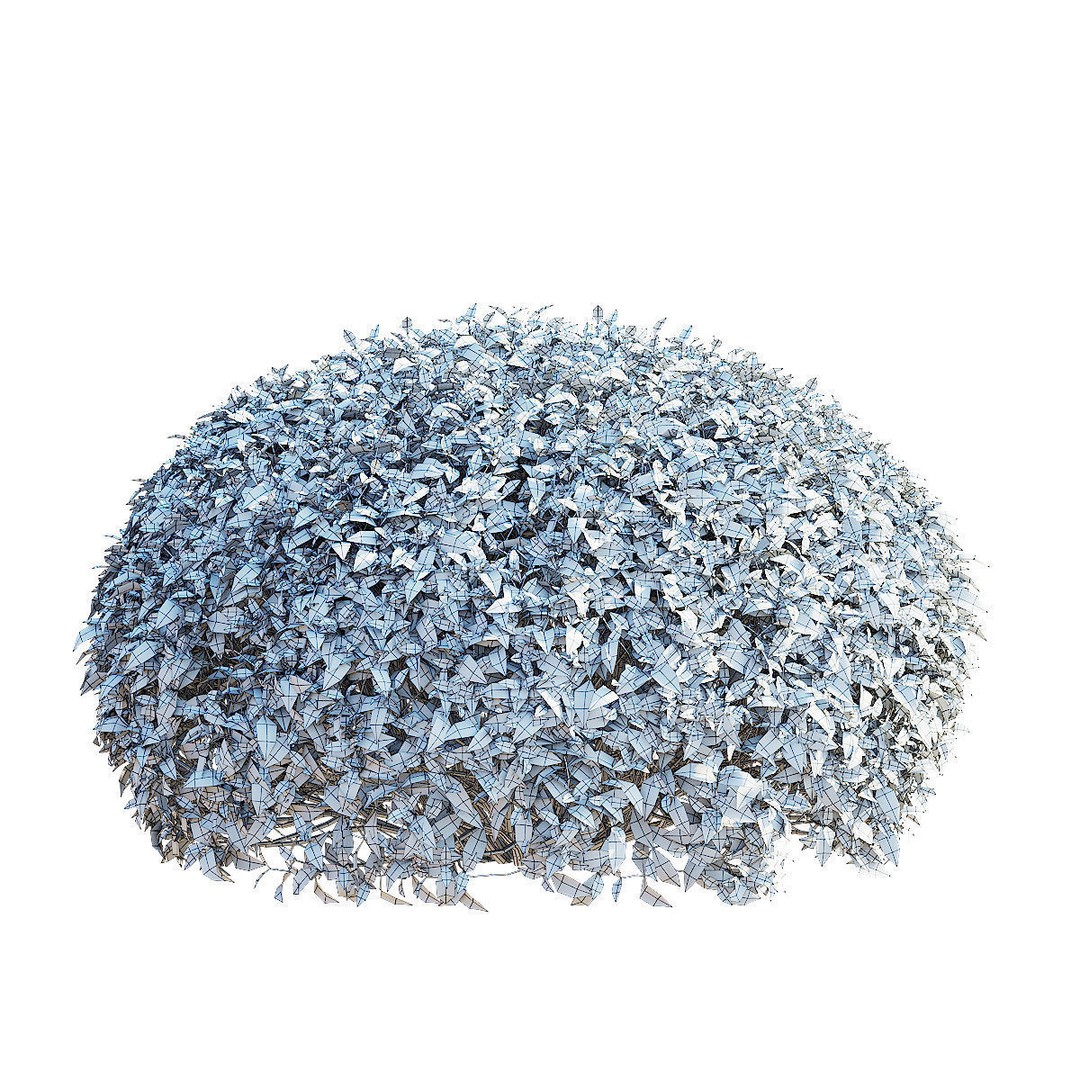 Cornus Alba 3D Model – Trimmed Bush with PBR Textures, FBX & OBJ - View 9