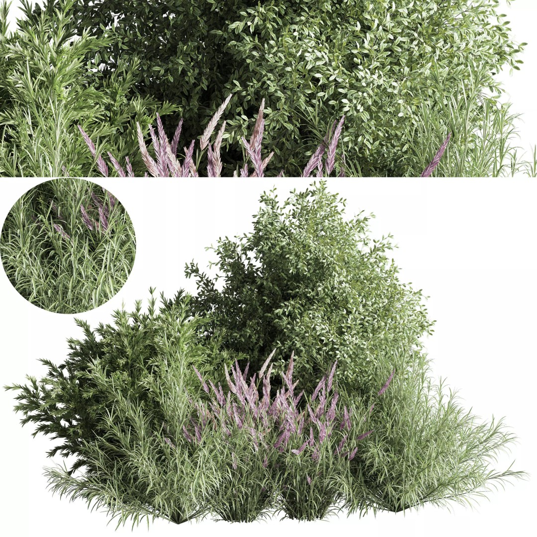Mixed Plant and Bush 3D Model – PBR Polygon Mesh for Landscaping - View 2