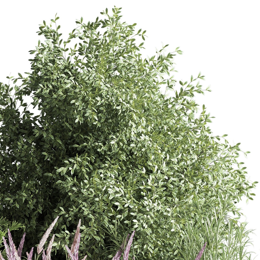 Mixed Plant and Bush 3D Model – PBR Polygon Mesh for Landscaping - View 3