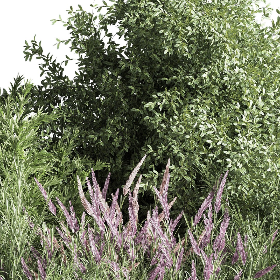 Mixed Plant and Bush 3D Model – PBR Polygon Mesh for Landscaping - View 4