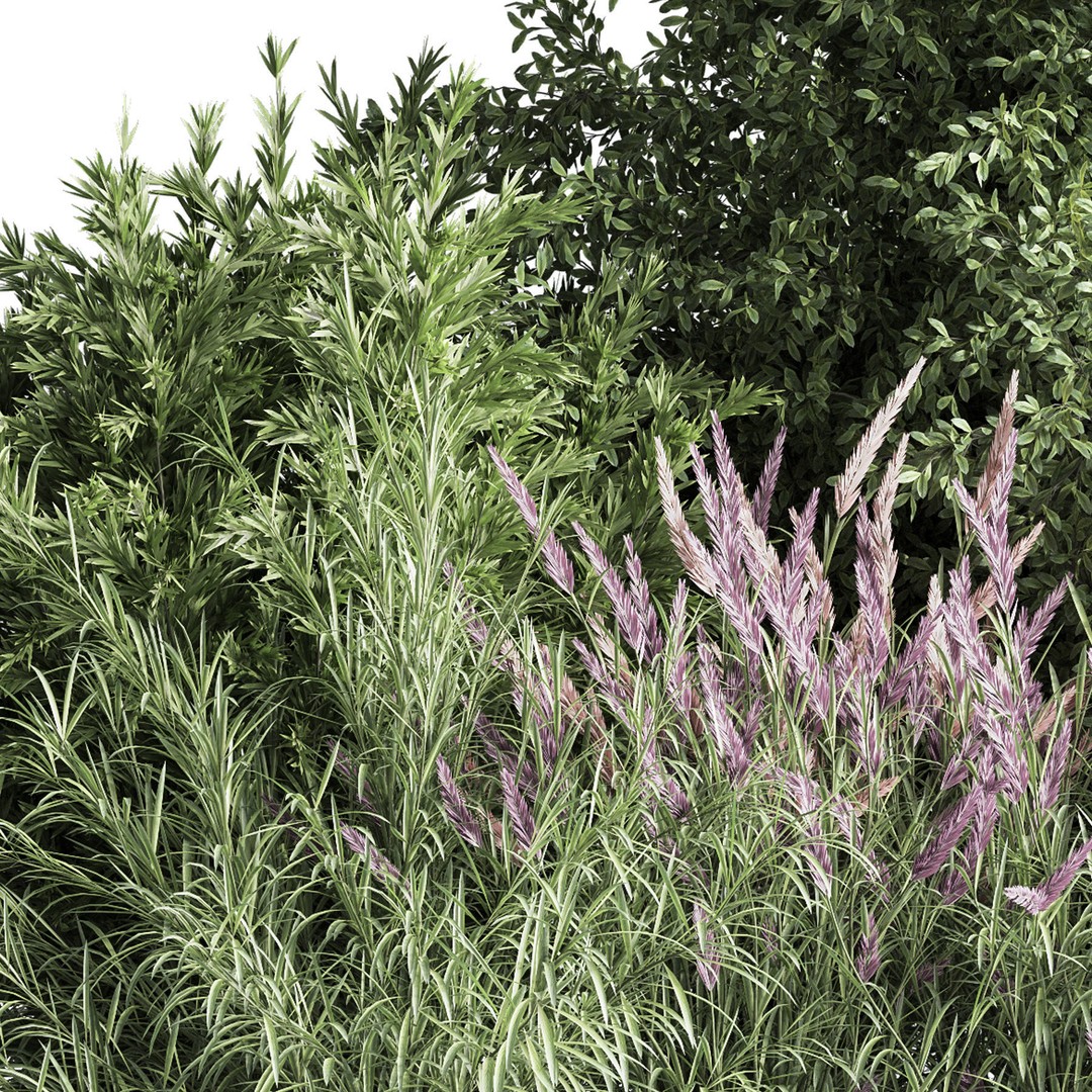 Mixed Plant and Bush 3D Model – PBR Polygon Mesh for Landscaping - View 5