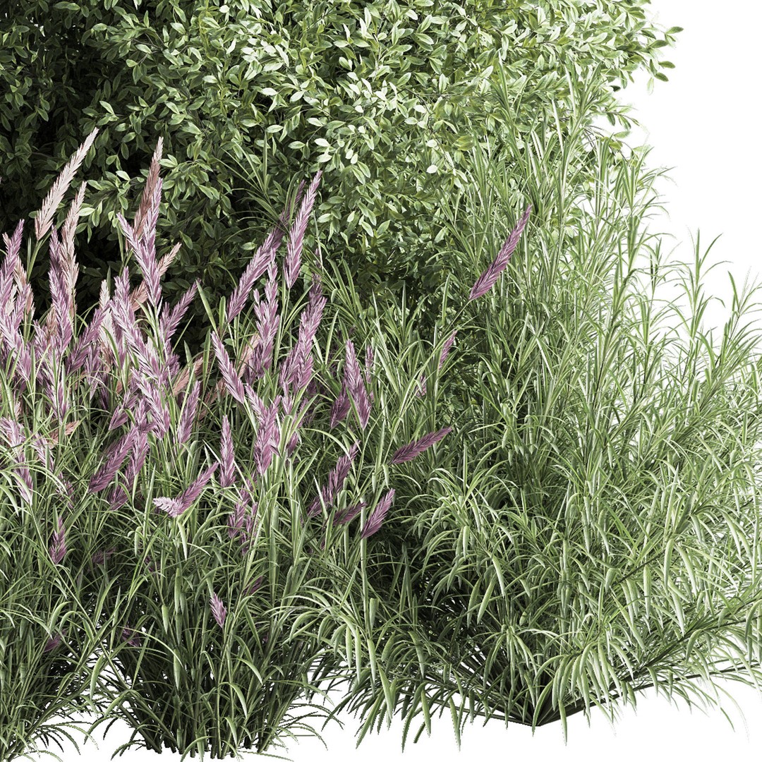 Mixed Plant and Bush 3D Model – PBR Polygon Mesh for Landscaping - View 6