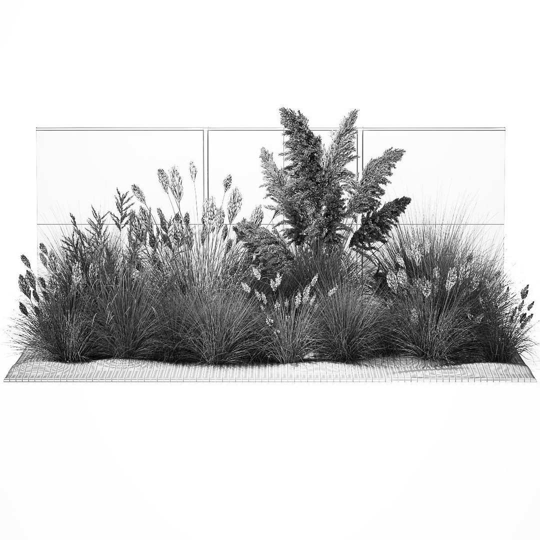 Pampas Grass 3D Model – Ornamental White Reed, Game-Ready FBX
