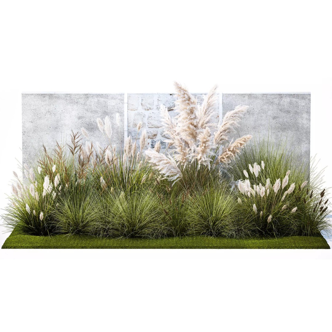 Pampas Grass 3D Model – Ornamental White Reed, Game-Ready FBX - View 2