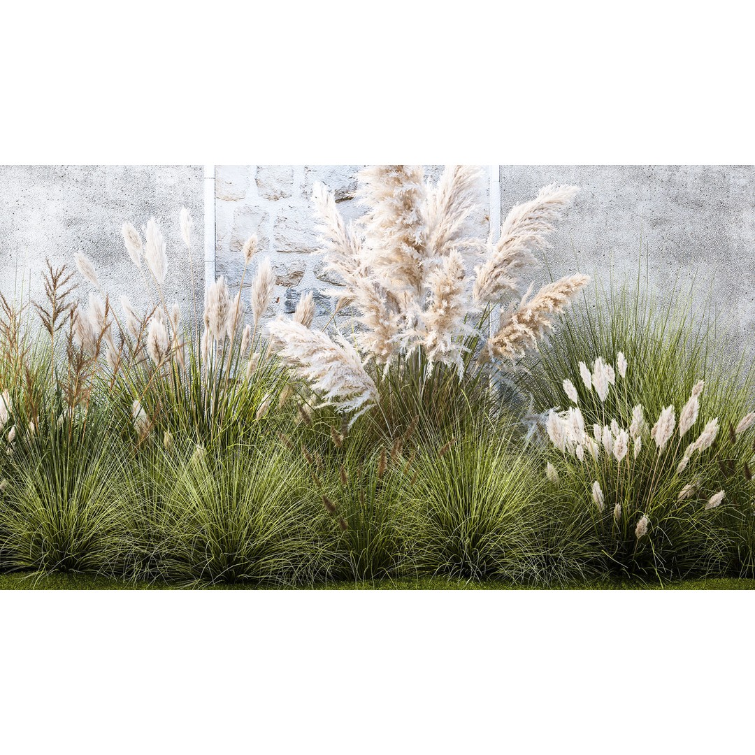 Pampas Grass 3D Model – Ornamental White Reed, Game-Ready FBX - View 4