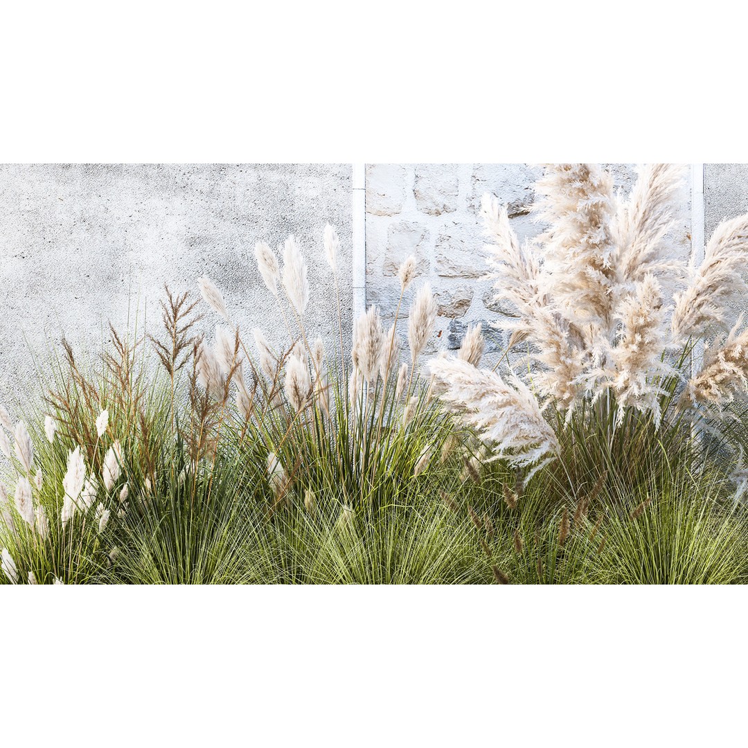 Pampas Grass 3D Model – Ornamental White Reed, Game-Ready FBX - View 5