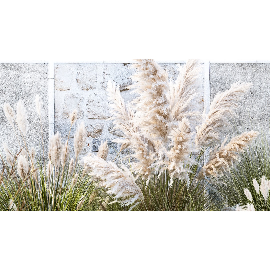 Pampas Grass 3D Model – Ornamental White Reed, Game-Ready FBX - View 6