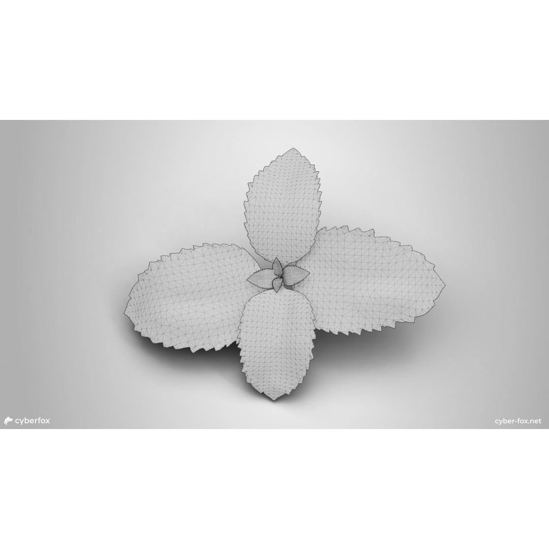 Mint Branch 3D Model – Low Poly Game Ready Asset, FBX, OBJ - View 11