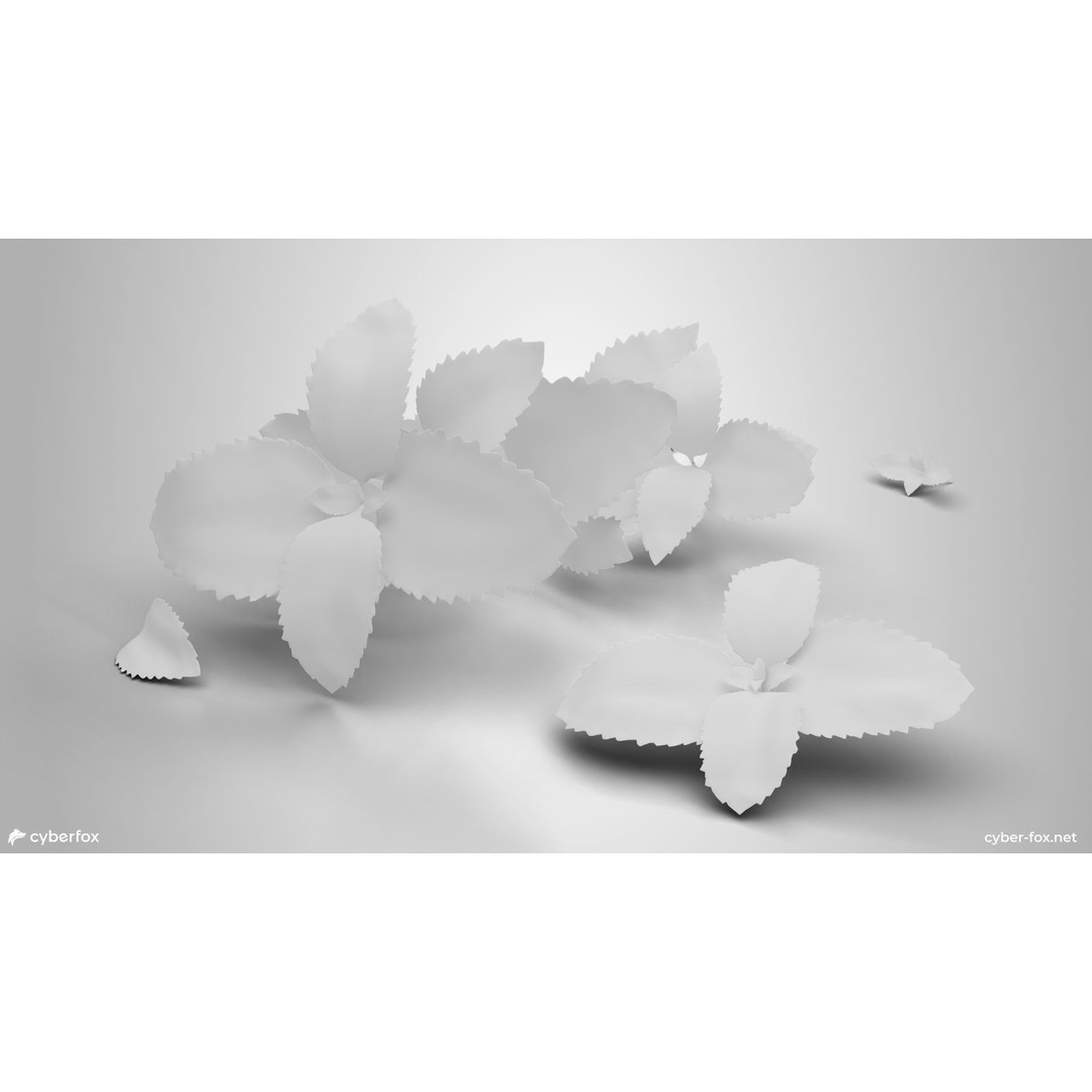 Mint Branch 3D Model – Low Poly Game Ready Asset, FBX, OBJ - View 12