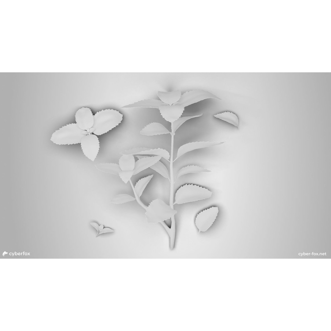 Mint Branch 3D Model – Low Poly Game Ready Asset, FBX, OBJ - View 8
