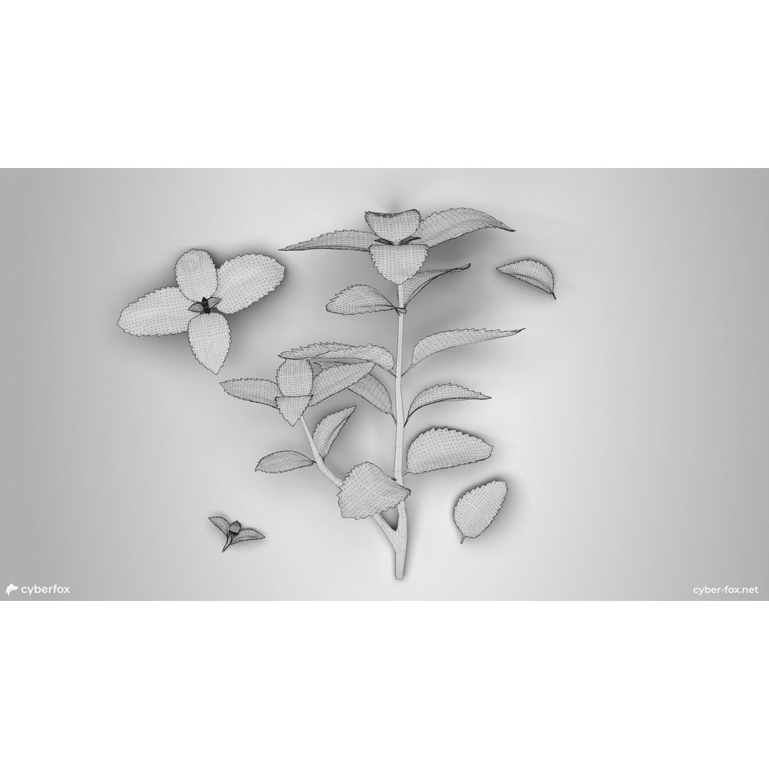 Mint Branch 3D Model – Low Poly Game Ready Asset, FBX, OBJ - View 9