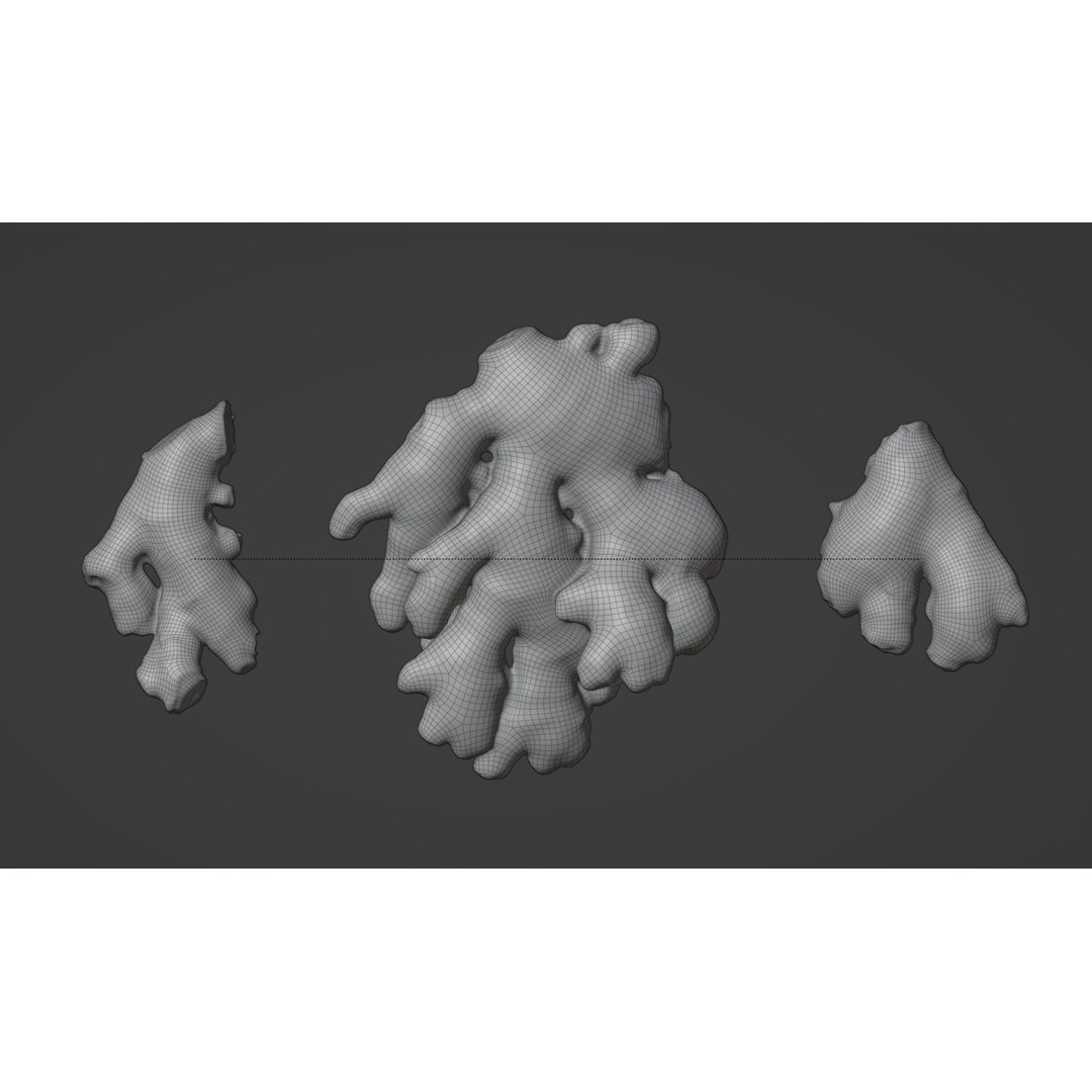 Ginger 3D Model – Low Poly PBR Asset for Food Visualizations - View 10