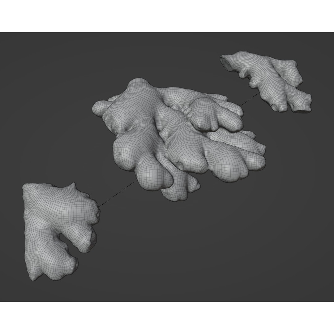 Ginger 3D Model – Low Poly PBR Asset for Food Visualizations - View 11