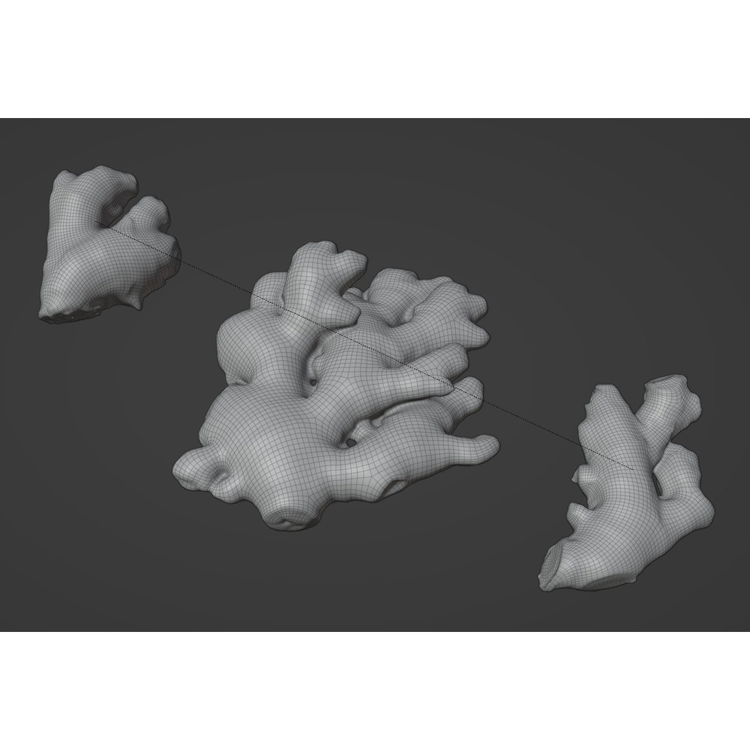 Ginger 3D Model – Low Poly PBR Asset for Food Visualizations - View 12