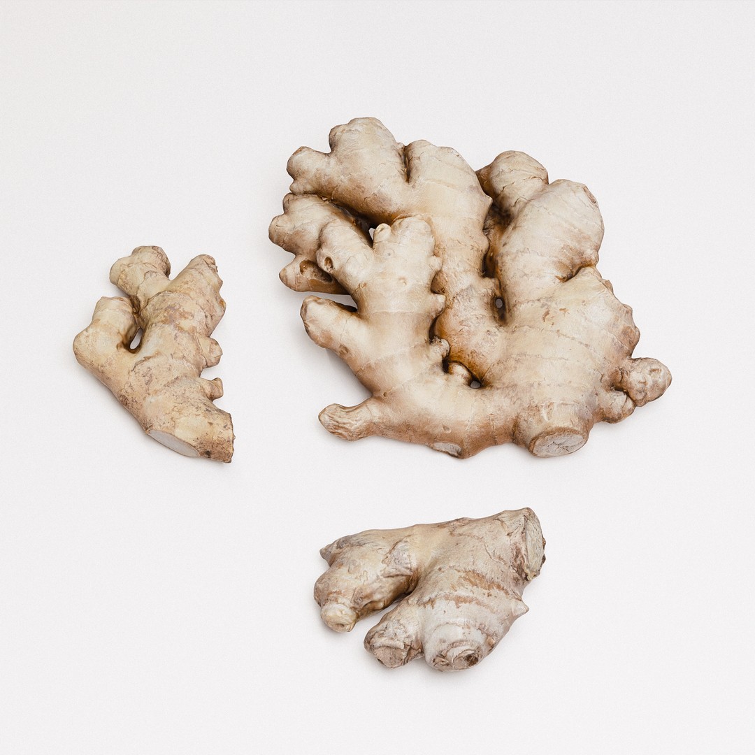 Ginger 3D Model – Low Poly PBR Asset for Food Visualizations - View 4