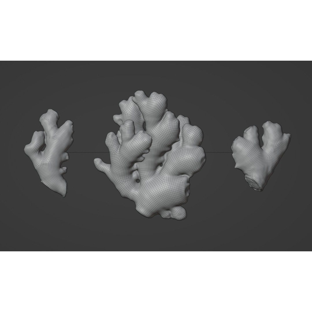 Ginger 3D Model – Low Poly PBR Asset for Food Visualizations - View 9