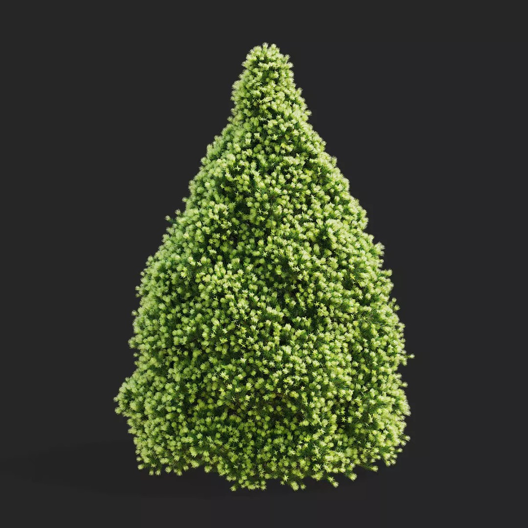 Picea Glauca Daisys White Trees 3D Model – High Poly Game Asset, FBX, OBJ - View 7