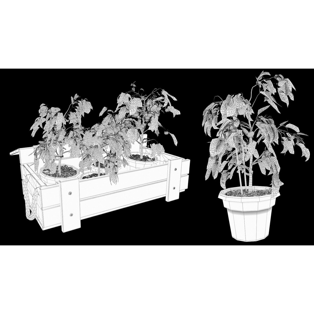 Tomato Plant 3D Model – Garden Toolkit with PBR Textures, OBJ & MAX - View 10