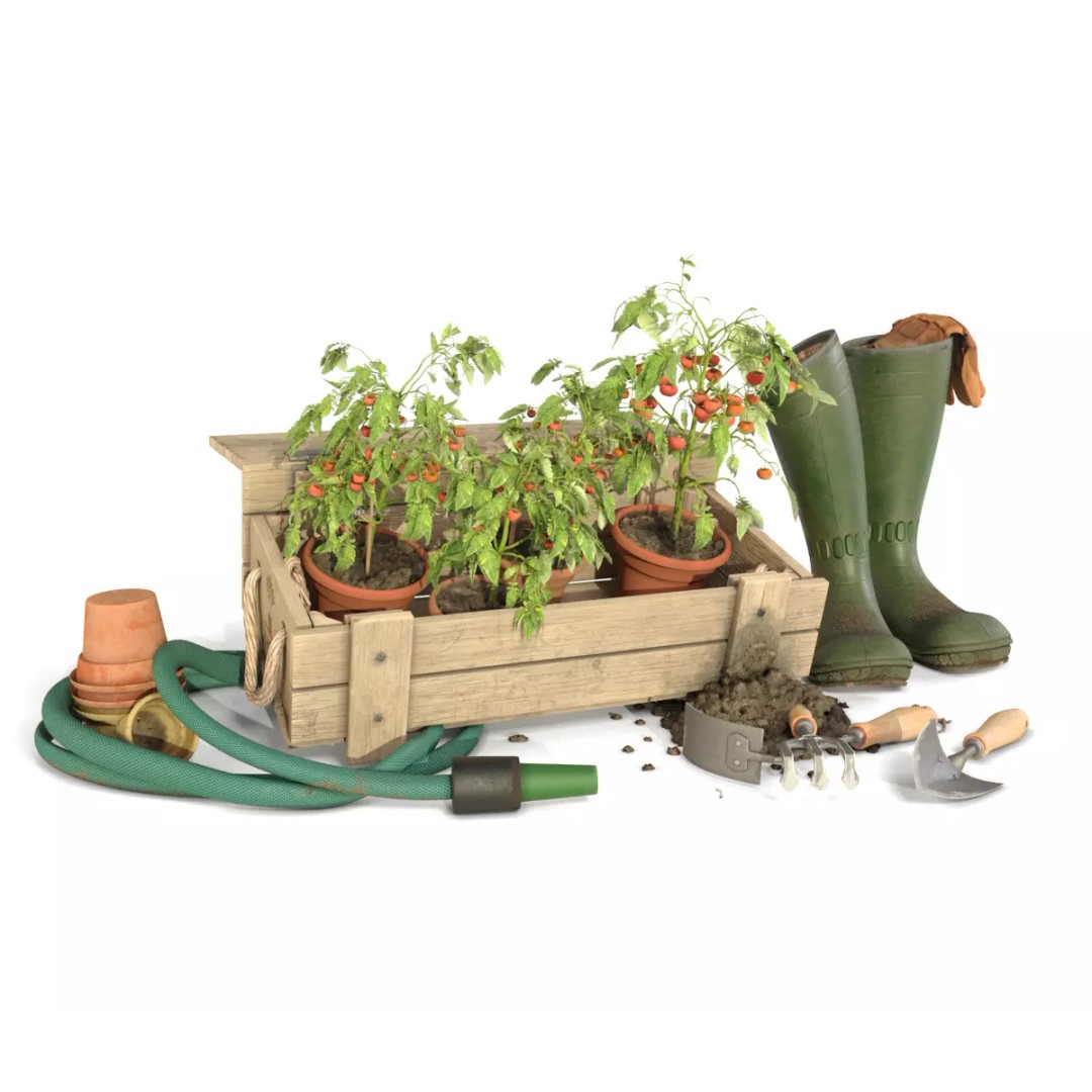 Tomato Plant 3D Model – Garden Toolkit with PBR Textures, OBJ & MAX - View 2