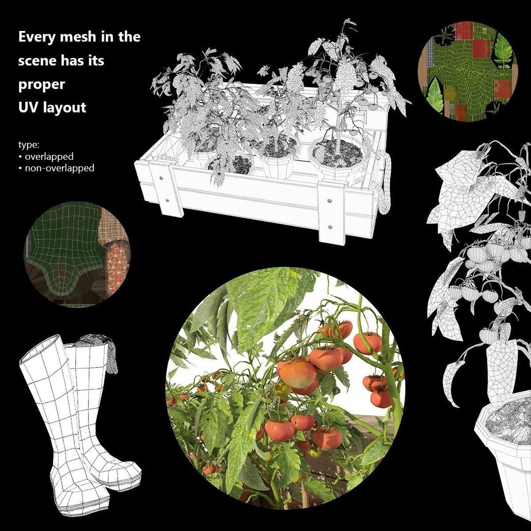 Tomato Plant 3D Model – Garden Toolkit with PBR Textures, OBJ & MAX - View 20