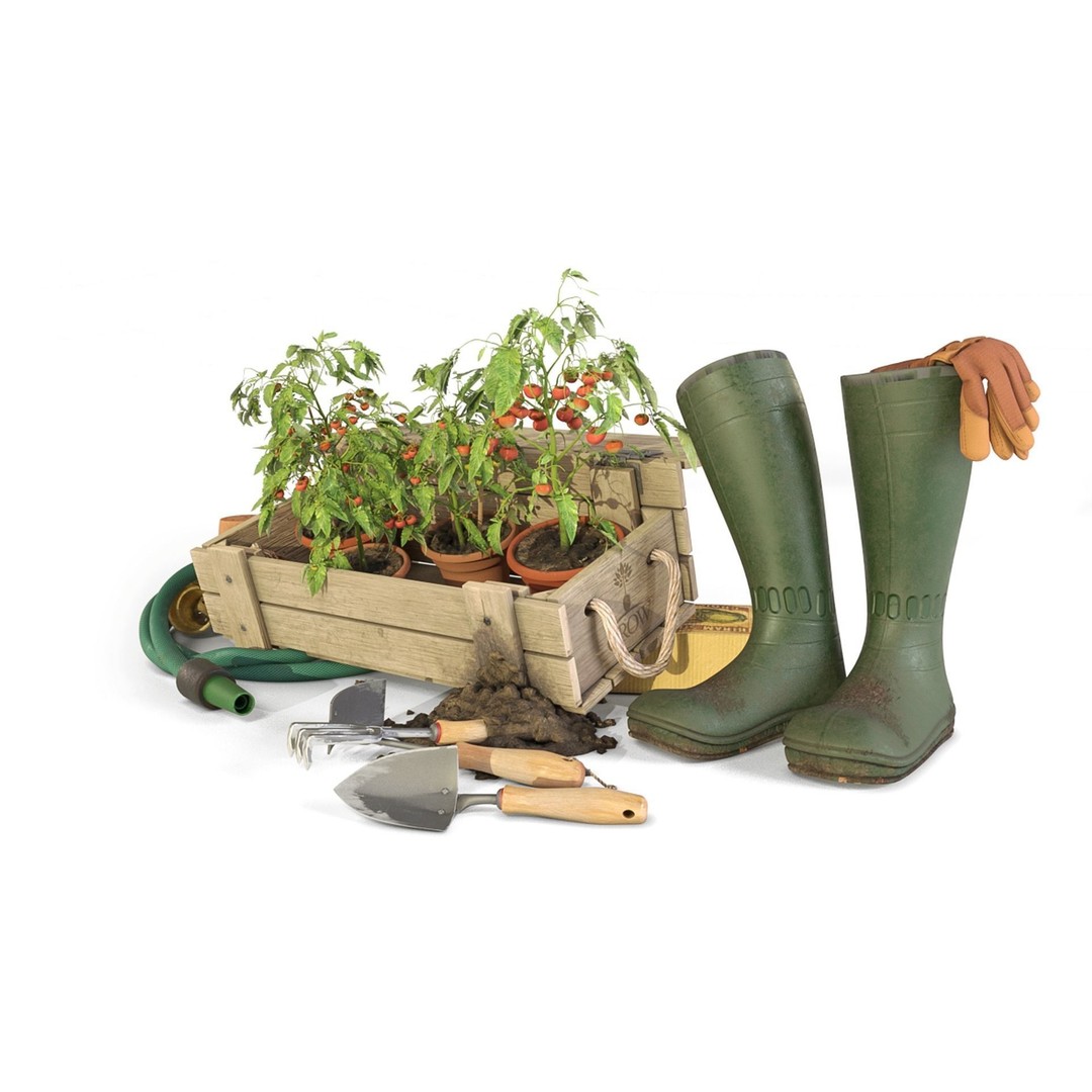 Tomato Plant 3D Model – Garden Toolkit with PBR Textures, OBJ & MAX - View 4