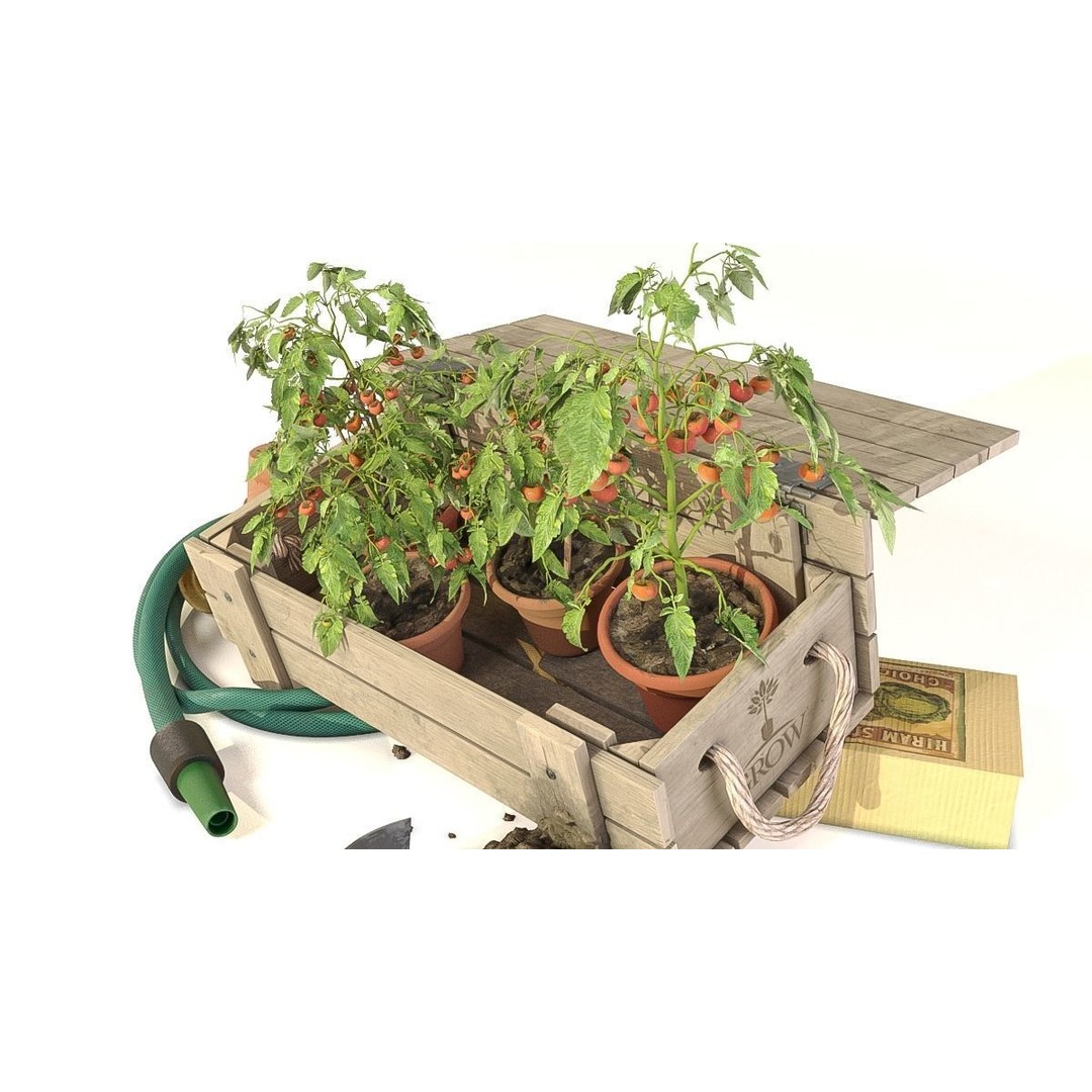 Tomato Plant 3D Model – Garden Toolkit with PBR Textures, OBJ & MAX - View 7