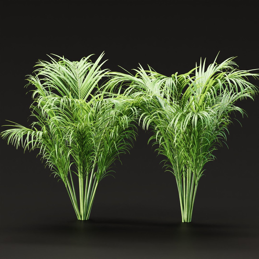 Mossy Garden 3D Model – Low Poly Asset Collection, PBR Textures - View 10