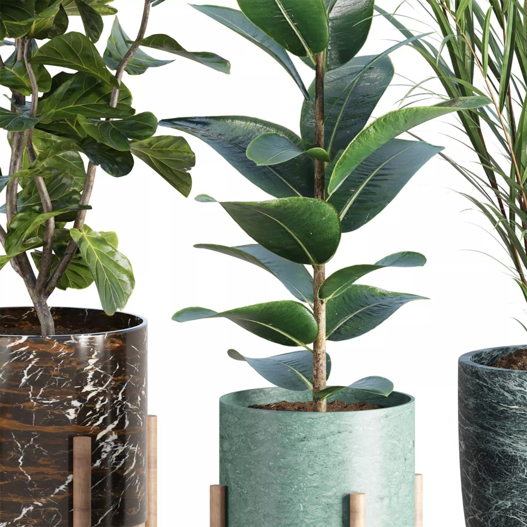 Realistic Indoor Plant Models 3D Model – High Poly Collection for Archviz - View 5