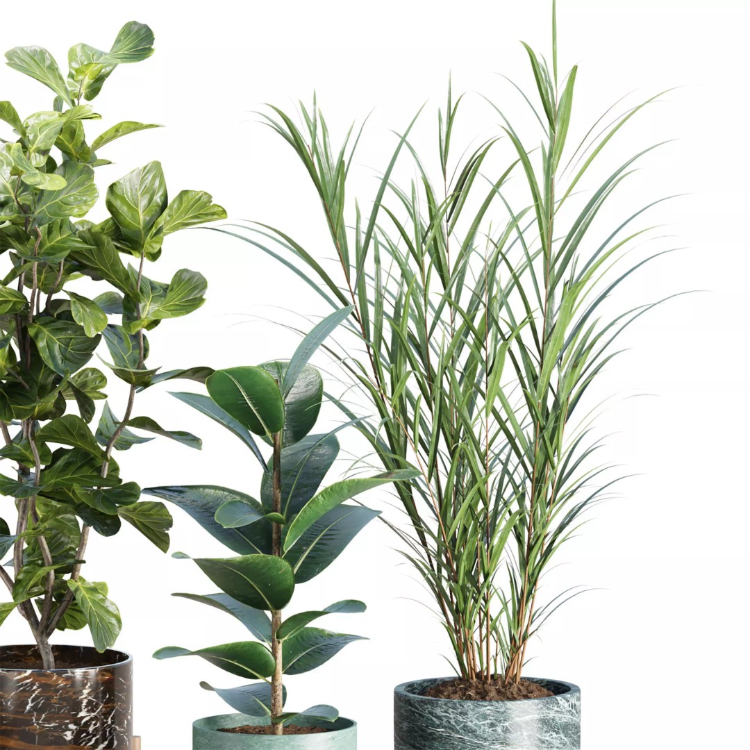 Realistic Indoor Plant Models 3D Model – High Poly Collection for Archviz - View 6