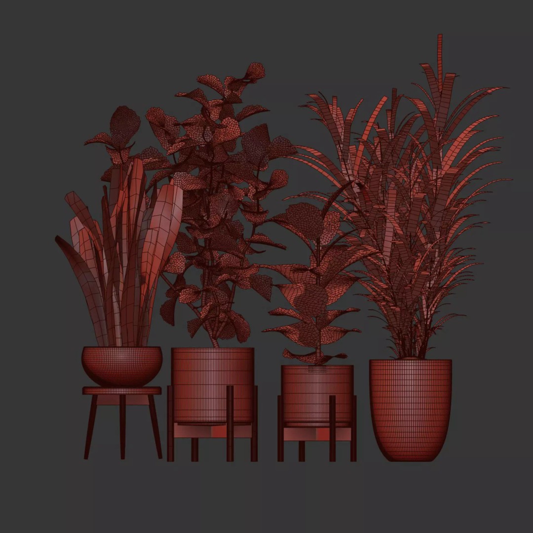 Realistic Indoor Plant Models 3D Model – High Poly Collection for Archviz - View 7