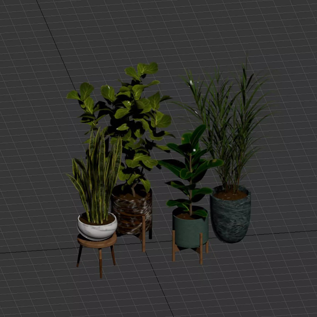 Realistic Indoor Plant Models 3D Model – High Poly Collection for Archviz - View 9