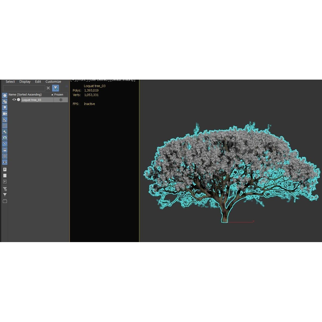 Loquat Tree 3D Model – High Poly Tropical Plant, FBX & OBJ