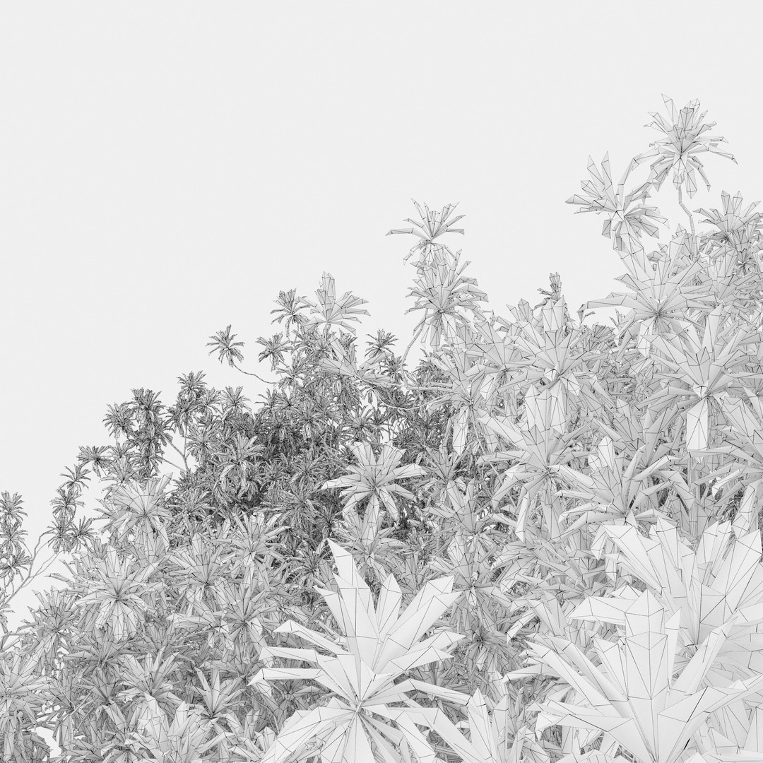 Loquat Tree 3D Model – High Poly Tropical Plant, FBX & OBJ - View 6