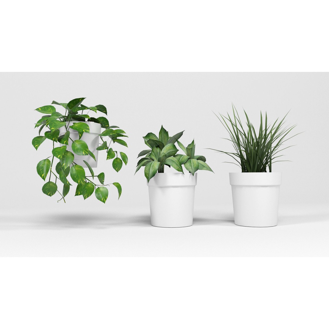 Plants 3D Model – Low Poly Pot Plant Pack, FBX & OBJ Formats - View 3