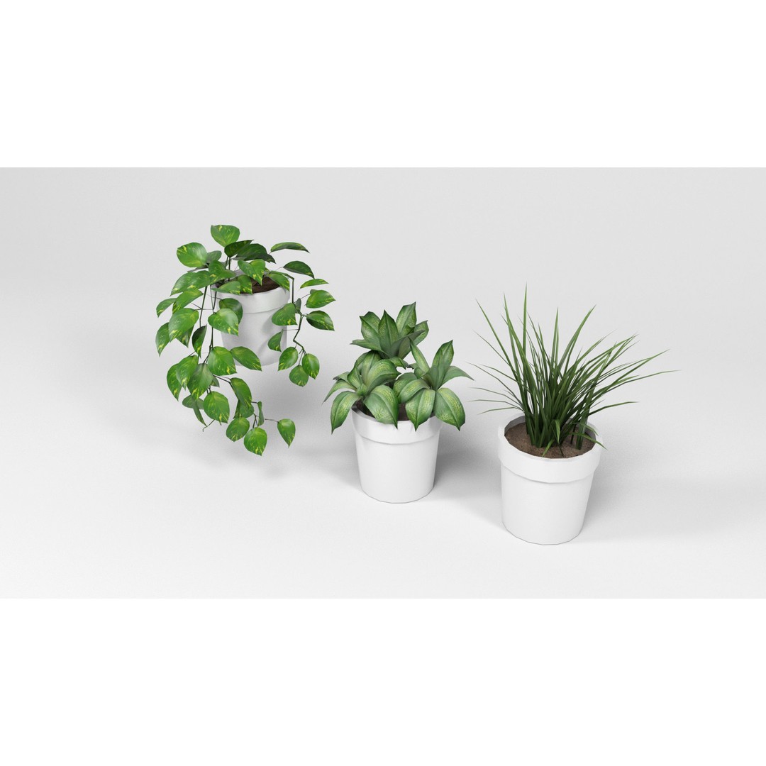 Plants 3D Model – Low Poly Pot Plant Pack, FBX & OBJ Formats - View 4