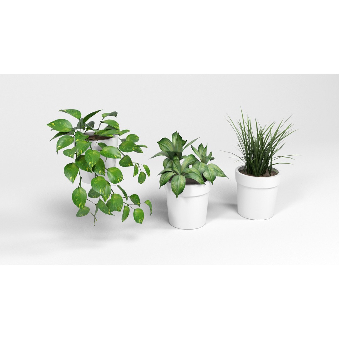Plants 3D Model – Low Poly Pot Plant Pack, FBX & OBJ Formats - View 5