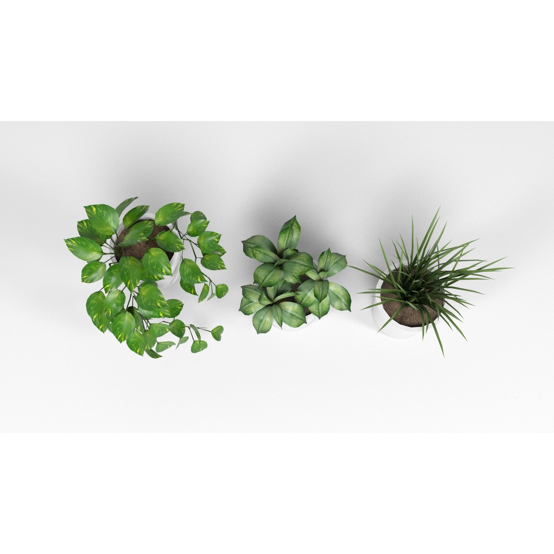 Plants 3D Model – Low Poly Pot Plant Pack, FBX & OBJ Formats - View 6