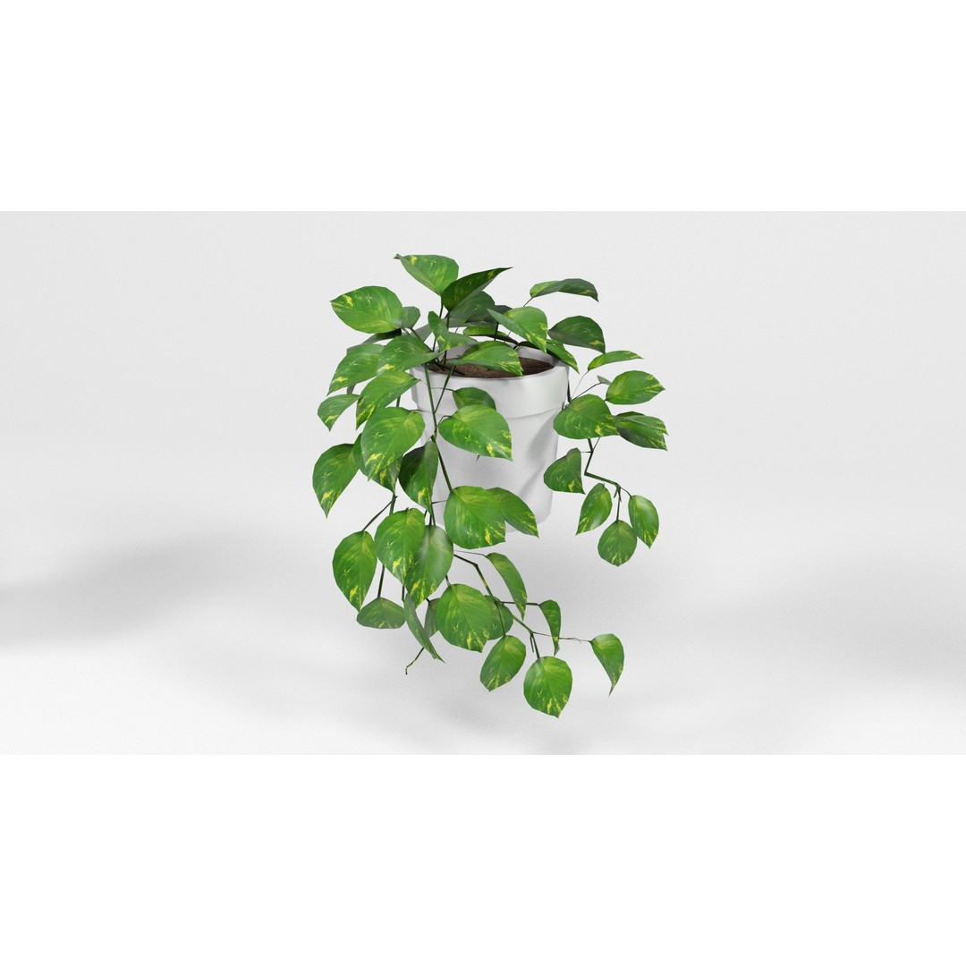 Plants 3D Model – Low Poly Pot Plant Pack, FBX & OBJ Formats - View 8