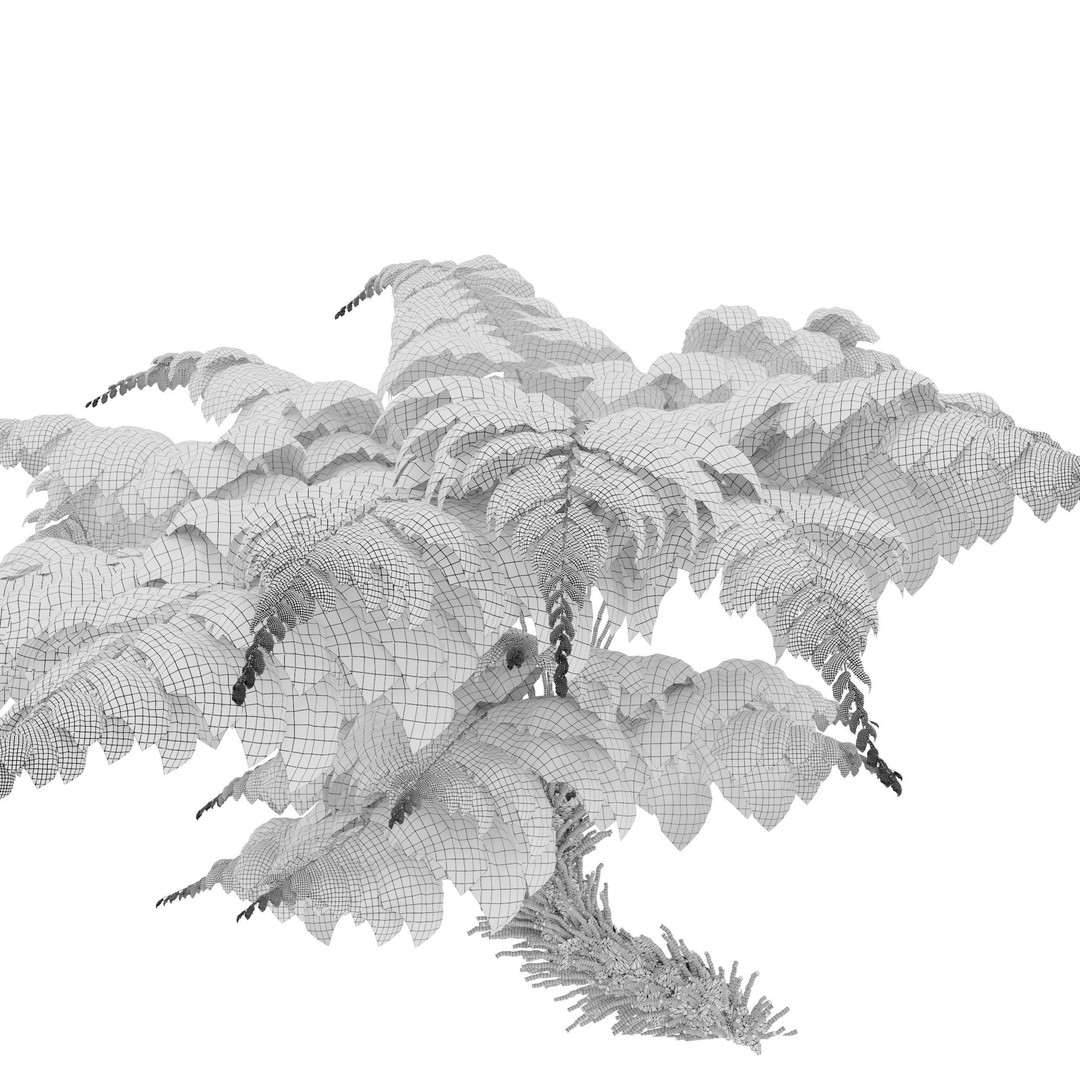 Tree Fern 3D Model – High Poly Tropical Bush, FBX, PBR
