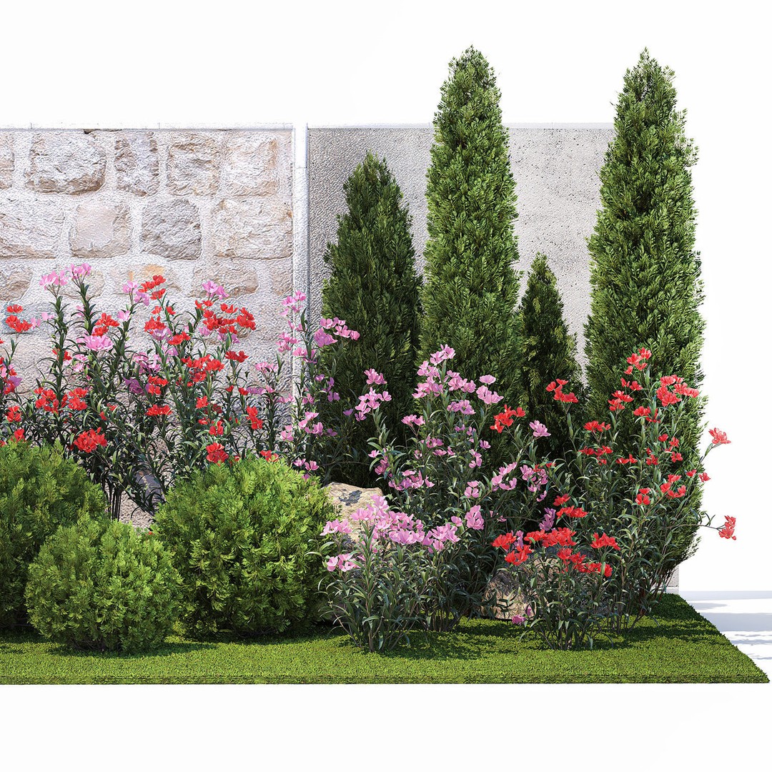 Beautiful Garden 3D Model – Decorative Cypress, Thuja & Oleander - View 11