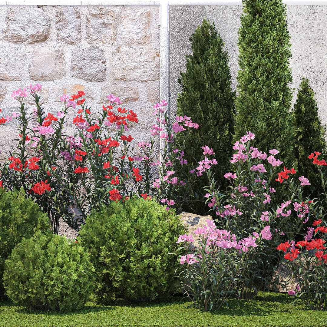 Beautiful Garden 3D Model – Decorative Cypress, Thuja & Oleander - View 12