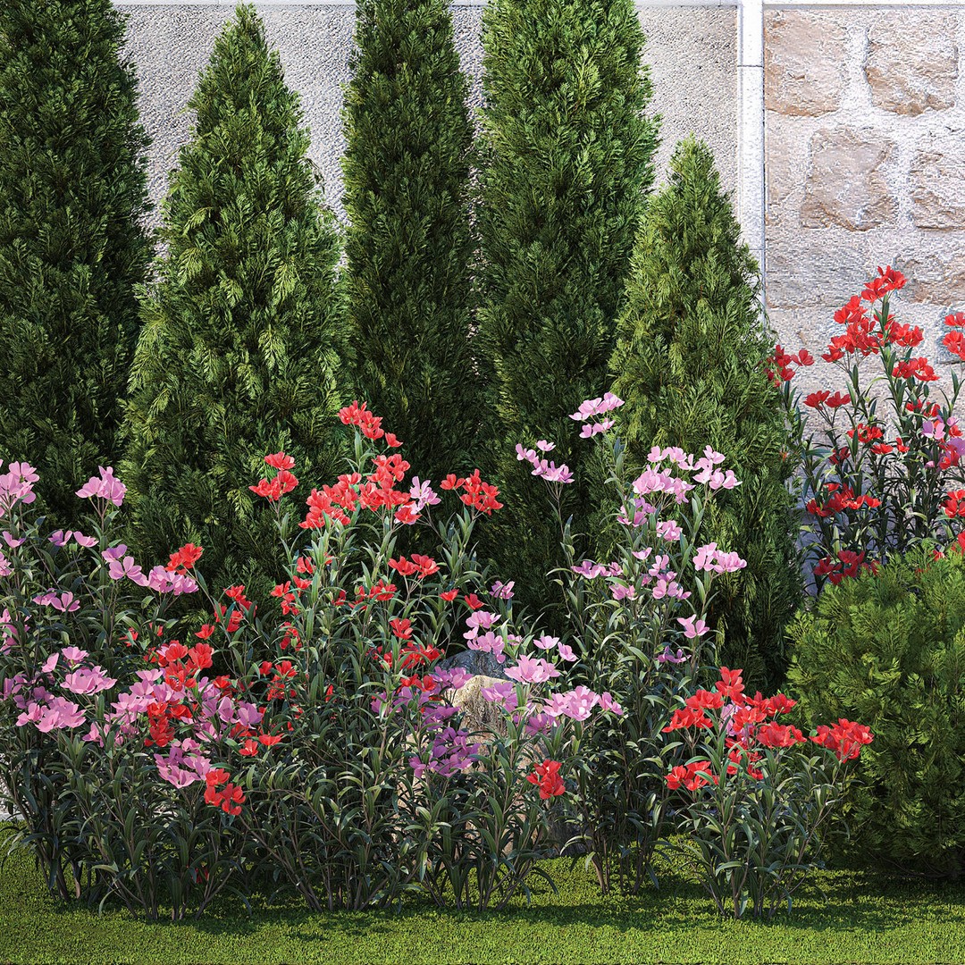 Beautiful Garden 3D Model – Decorative Cypress, Thuja & Oleander - View 13