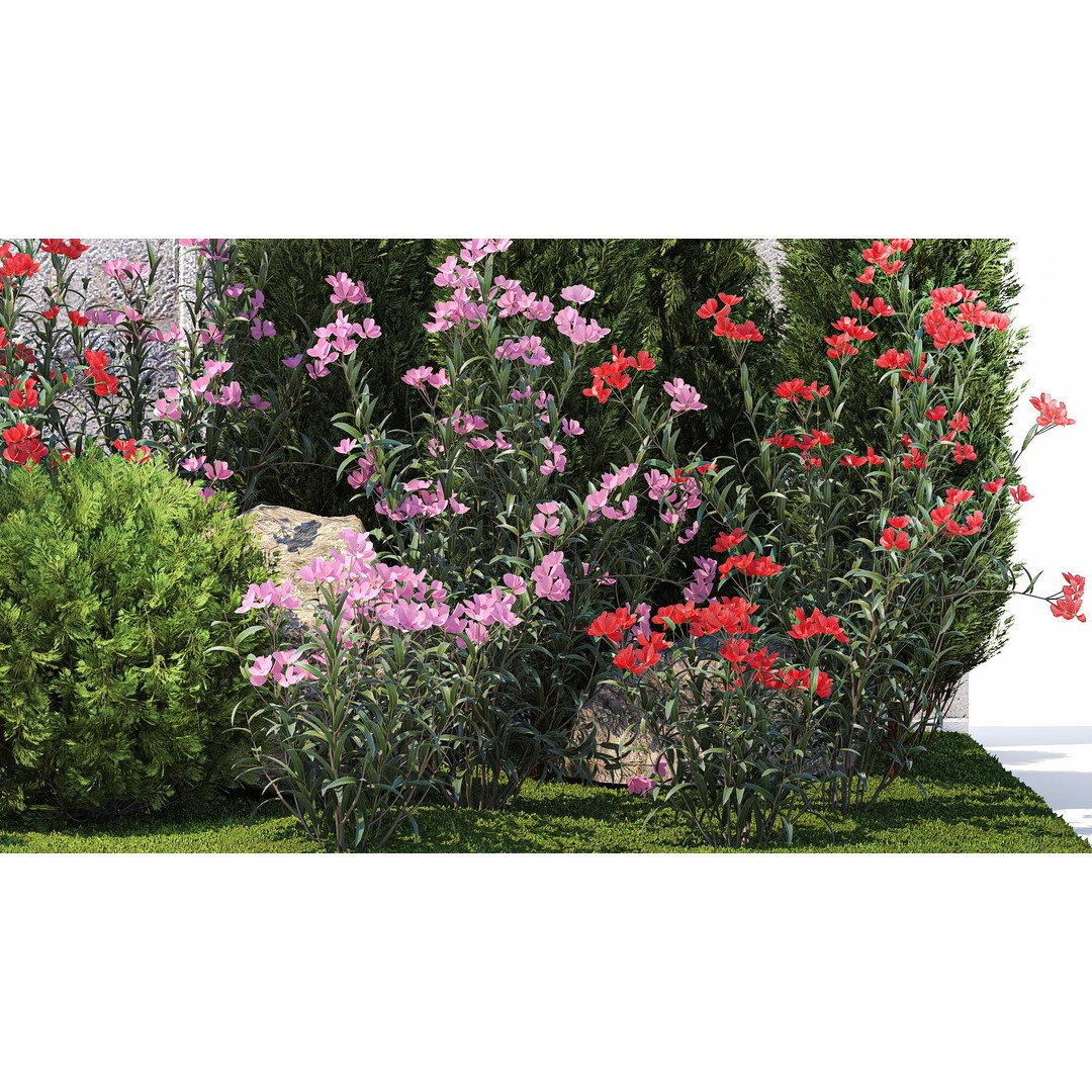 Beautiful Garden 3D Model – Decorative Cypress, Thuja & Oleander - View 5